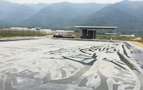 养殖污水降氨氮方案